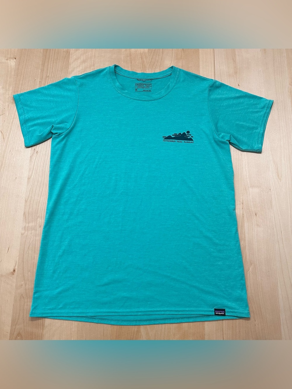 Patagonia Men’s Teal Short Sleeve Logo Tee M